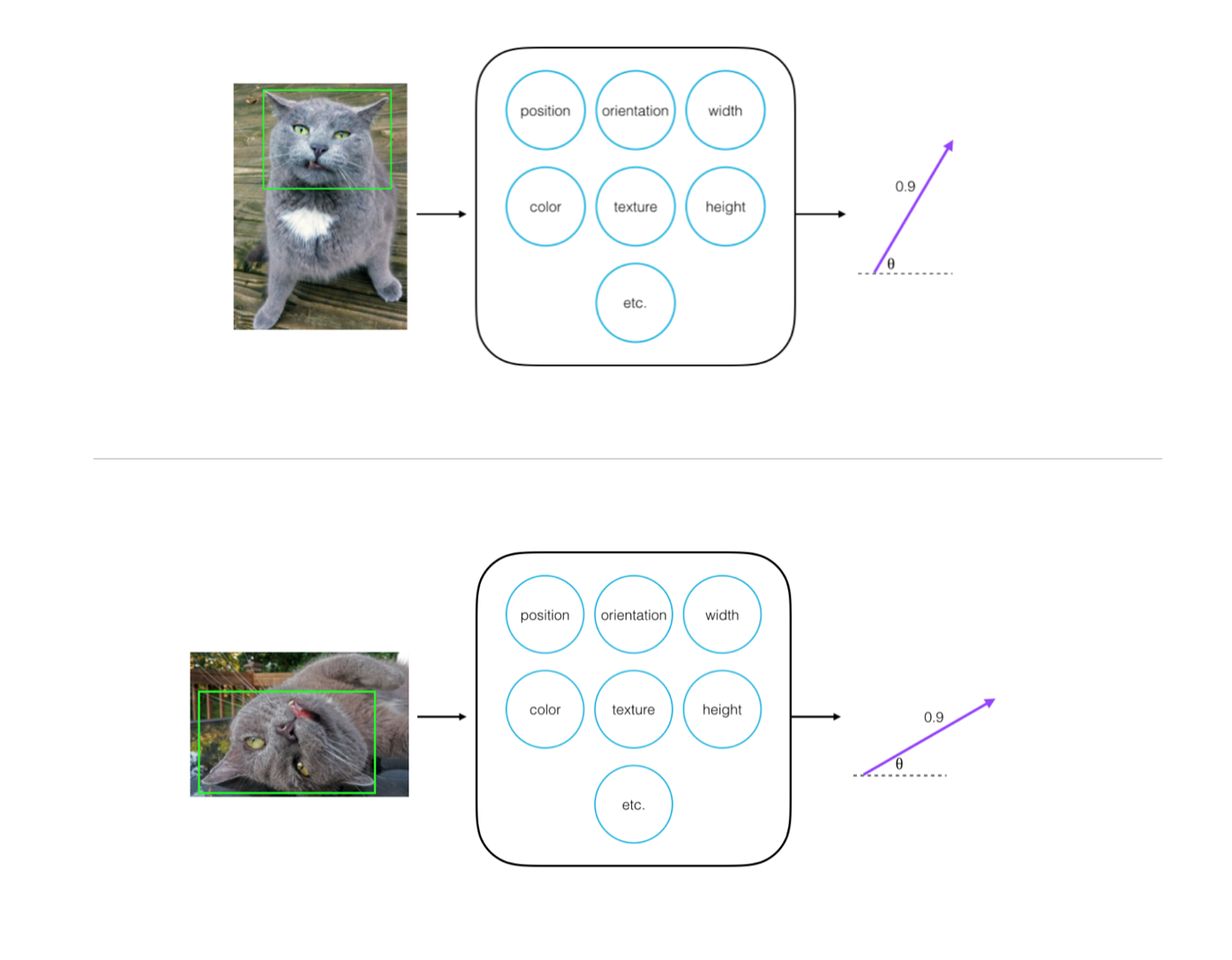 脸朝不同方向的猫脸孔，数据来源：[这篇博文](https://cezannec.github.io/Capsule_Networks/)。
