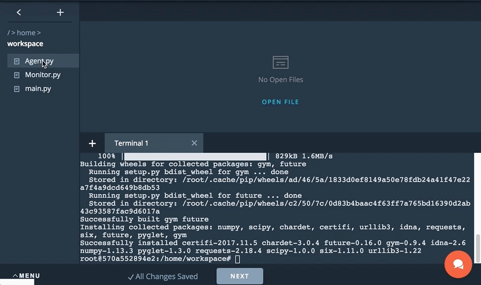 ‘打开 `agent.py`、`Monitor.py` 和 `main.py`。’